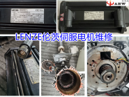 Lenz servo motor maintenance